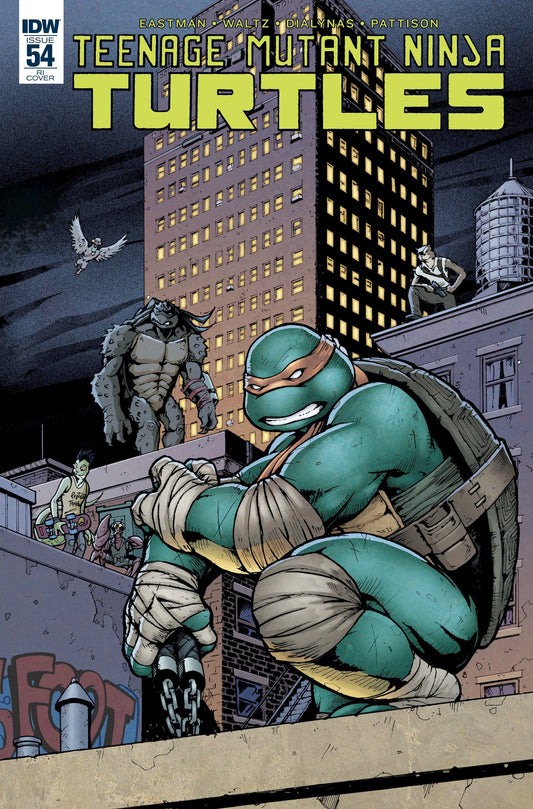 IDW PUBLISHING Comics NM TMNT ONGOING #54 VARIANT (Stock Image)
