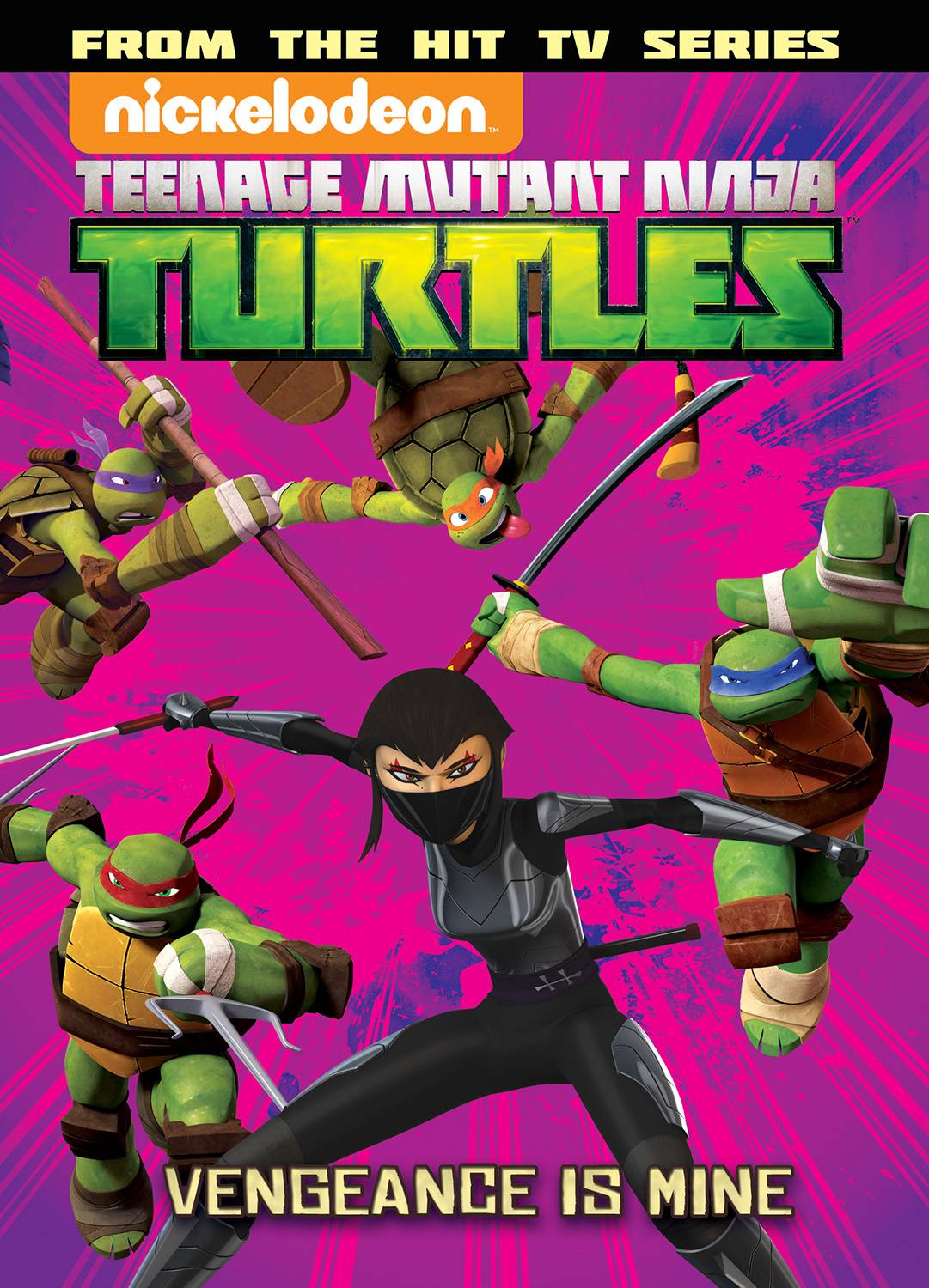 IDW PUBLISHING KIDS TMNT ANIMATED TP VOL 06 VENGEANCE IS MINE