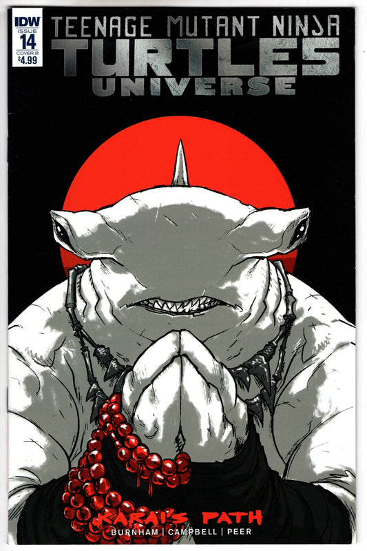IDW PUBLISHING TMNT UNIVERSE #14 CVR B CAMPBELL