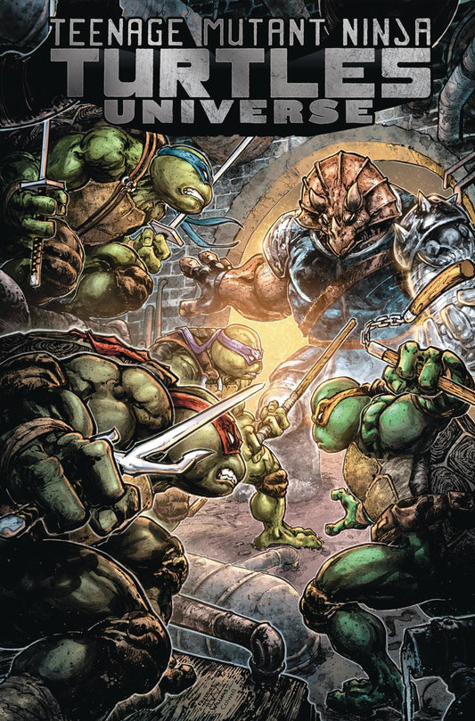 IDW PUBLISHING TRADE TMNT UNIVERSE TP VOL 04 HOME