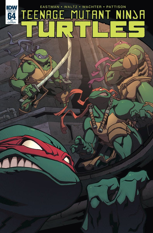IDW PUBLISHING VARIANT NM TMNT ONGOING #64 VARIANT (Stock Image)