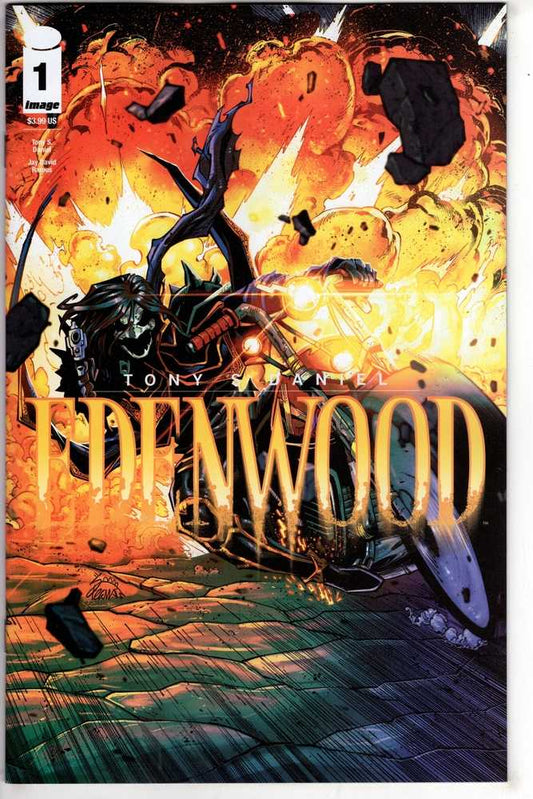 Image Comics COMIC BOOK Edenwood #1 Cover D 1 in 25 Ryan Stegman Variant