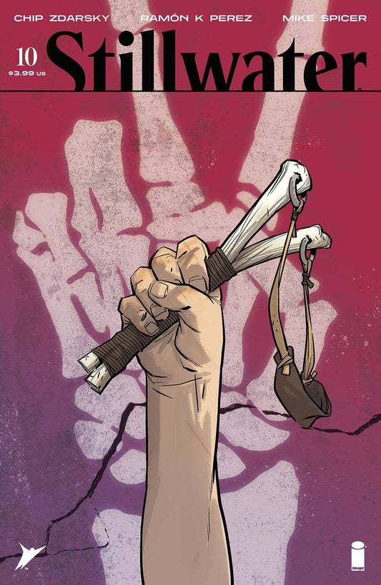 IMAGE COMICS COMIC BOOK STILLWATER BY ZDARSKY & PEREZ #10 (MR)