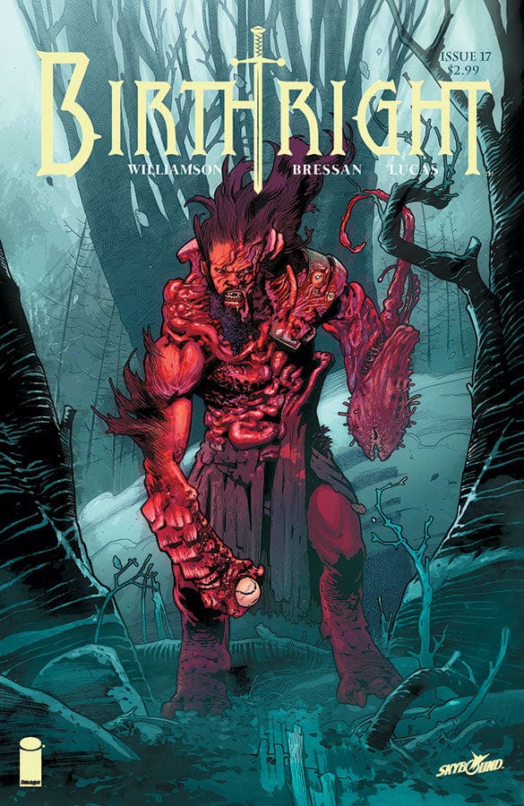 IMAGE COMICS Comics VF/NM BIRTHRIGHT #17