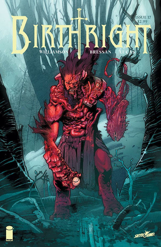 IMAGE COMICS Comics VF/NM BIRTHRIGHT #17