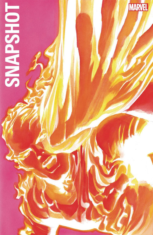 MARVEL COMICS MARVEL COMICS FANTASTIC FOUR MARVELS SNAPSHOT #1