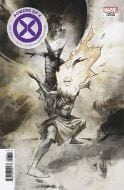 MARVEL COMICS MARVEL COMICS POWERS OF X #6 (OF 6) HUDDLESTON VAR