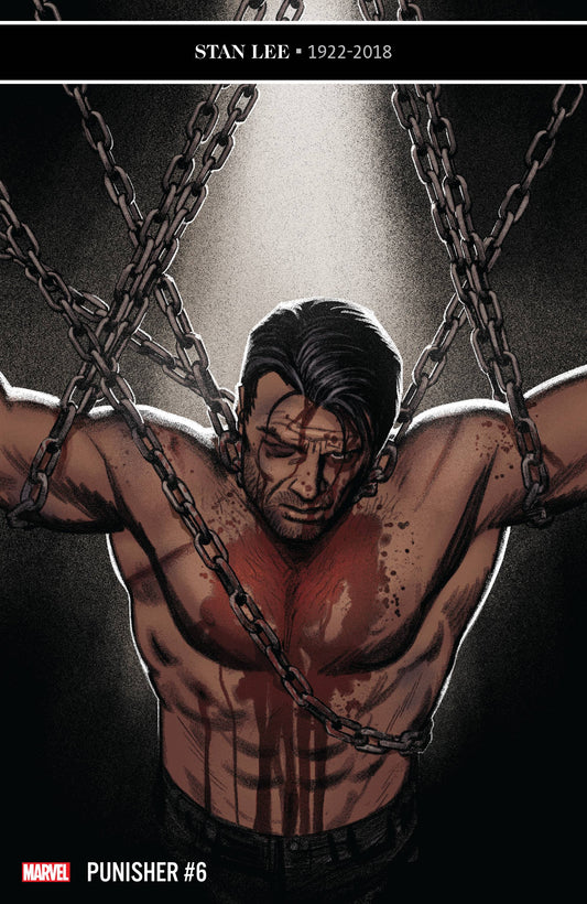 MARVEL COMICS marvel PUNISHER #6