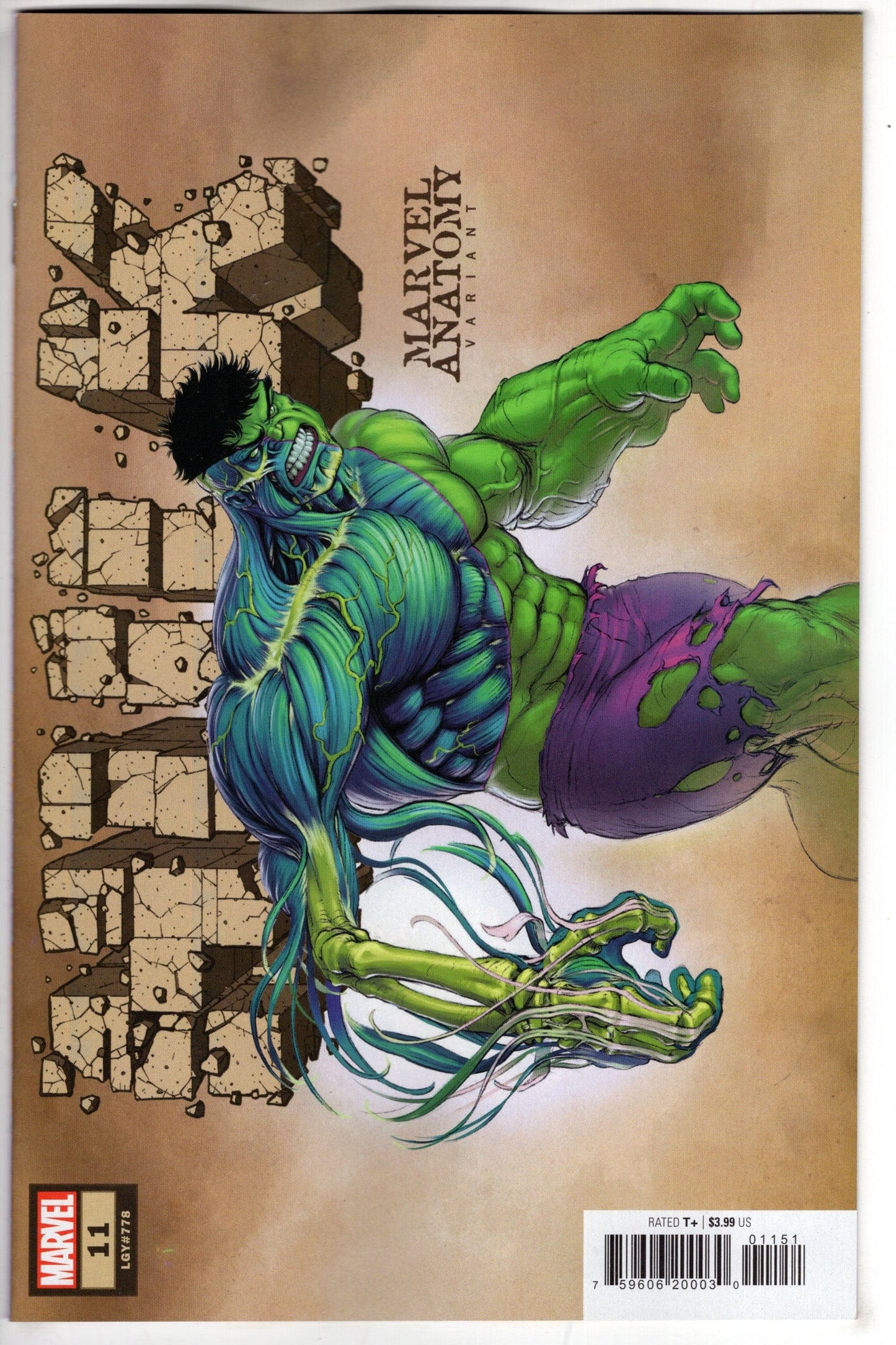 MARVEL PRH COMIC BOOK HULK #11 MARVEL ANATOMY LOBE Variant