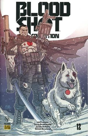 VALIANT ENTERTAINMENT LLC COMIC BOOK Bloodshot Salvation #12 Cover C Variant Ryan Bodenheim Cover