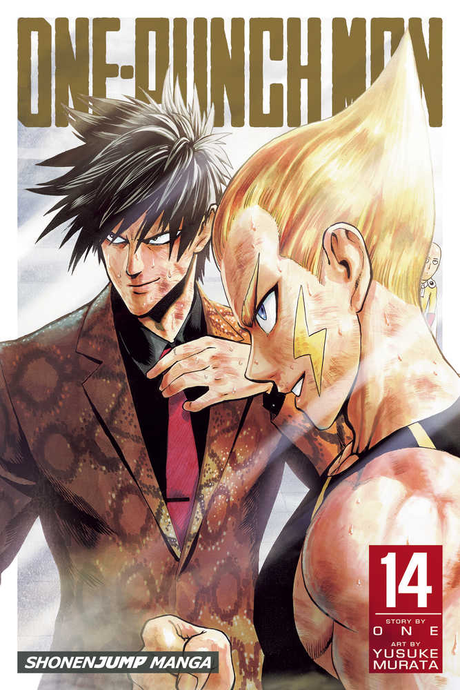 VIZ LLC MANGA One Punch Man Graphic Novel Volume 14